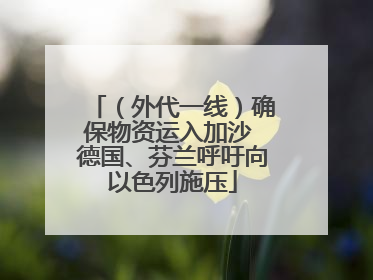 （外代一线）确保物资运入加沙 德国、芬兰呼吁向以色列施压