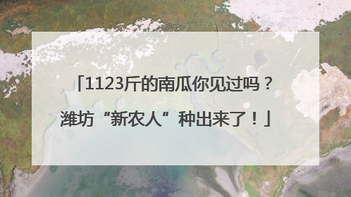1123斤的南瓜你见过吗？潍坊“新农人”种出来了！