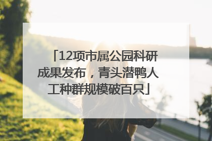 12项市属公园科研成果发布，青头潜鸭人工种群规模破百只
