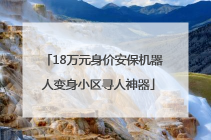 18万元身价安保机器人变身小区寻人神器