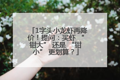 1字头小龙虾再降价！提问：买虾 “钳大” 还是 “钳小” 更划算？