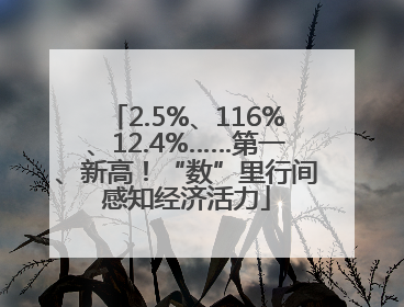 2.5%、116%、12.4%……第一、新高！“数”里行间感知经济活力