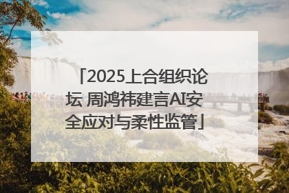 2025上合组织论坛 周鸿祎建言AI安全应对与柔性监管