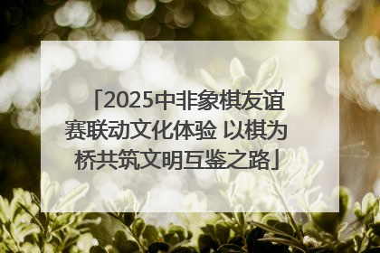 2025中非象棋友谊赛联动文化体验 以棋为桥共筑文明互鉴之路