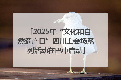 2025年“文化和自然遗产日”四川主会场系列活动在巴中启动