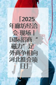 2025年廊坊经洽会·现场丨国际招商“磁力”足 外商争相向河北推介项目