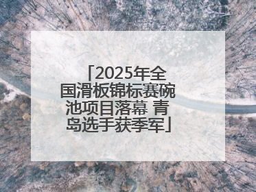 2025年全国滑板锦标赛碗池项目落幕 青岛选手获季军
