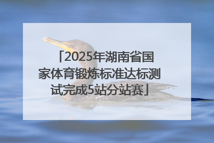 2025年湖南省国家体育锻炼标准达标测试完成5站分站赛