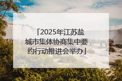2025年江苏盐城市集体协商集中要约行动推进会举办