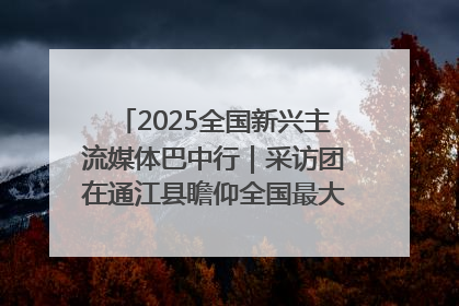 2025全国新兴主流媒体巴中行｜采访团在通江县瞻仰全国最大红军烈士陵园