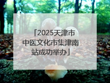 2025天津市中医文化市集津南站成功举办