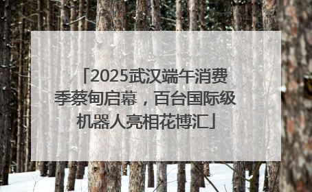 2025武汉端午消费季蔡甸启幕，百台国际级机器人亮相花博汇