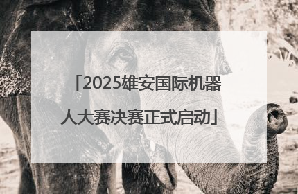 2025雄安国际机器人大赛决赛正式启动