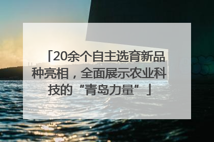 20余个自主选育新品种亮相，全面展示农业科技的“青岛力量”