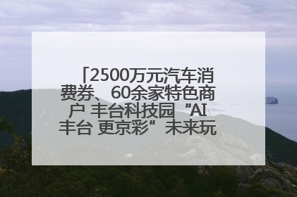 2500万元汽车消费券、60余家特色商户 丰台科技园“AI丰台 更京彩”未来玩家市集活动正式开幕