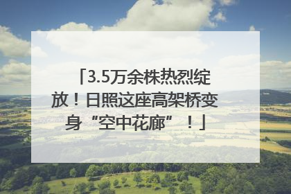 3.5万余株热烈绽放！日照这座高架桥变身“空中花廊”！