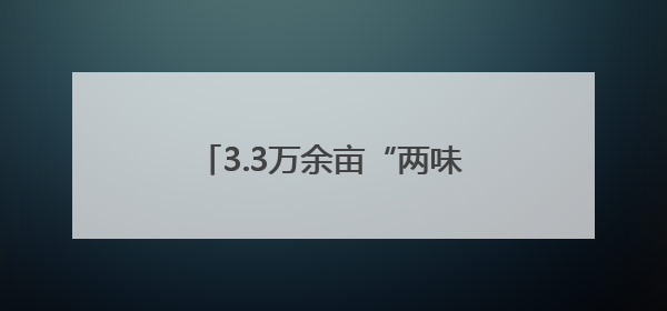 3.3万余亩“两味药”背后 沙湾重点突出“三性”推动产业实践丨新闻发布最前线