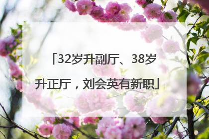 32岁升副厅、38岁升正厅，刘会英有新职