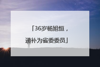36岁杨旭恒，递补为省委委员