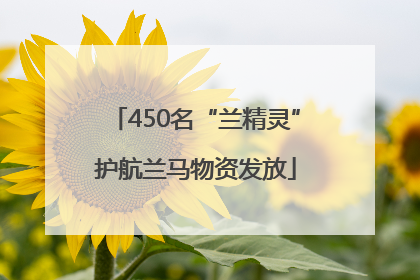 450名“兰精灵”护航兰马物资发放