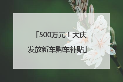 500万元！大庆发放新车购车补贴