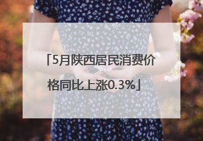 5月陕西居民消费价格同比上涨0.3%
