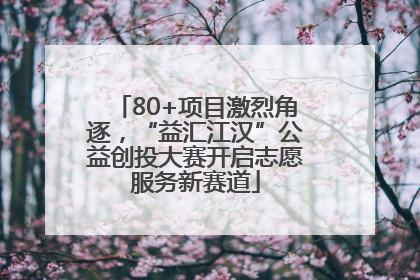 80+项目激烈角逐，“益汇江汉”公益创投大赛开启志愿服务新赛道