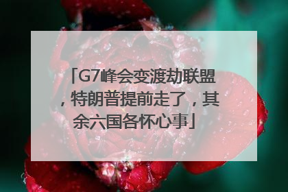 G7峰会变渡劫联盟，特朗普提前走了，其余六国各怀心事