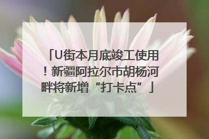 U街本月底竣工使用！新疆阿拉尔市胡杨河畔将新增“打卡点”